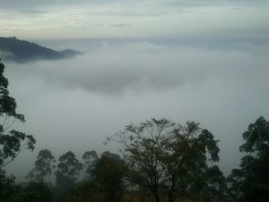 Foto mit Nebel für die Fantasiereise